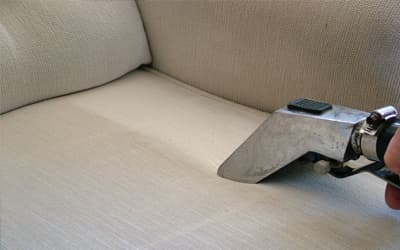 sofa cleaning dallas
